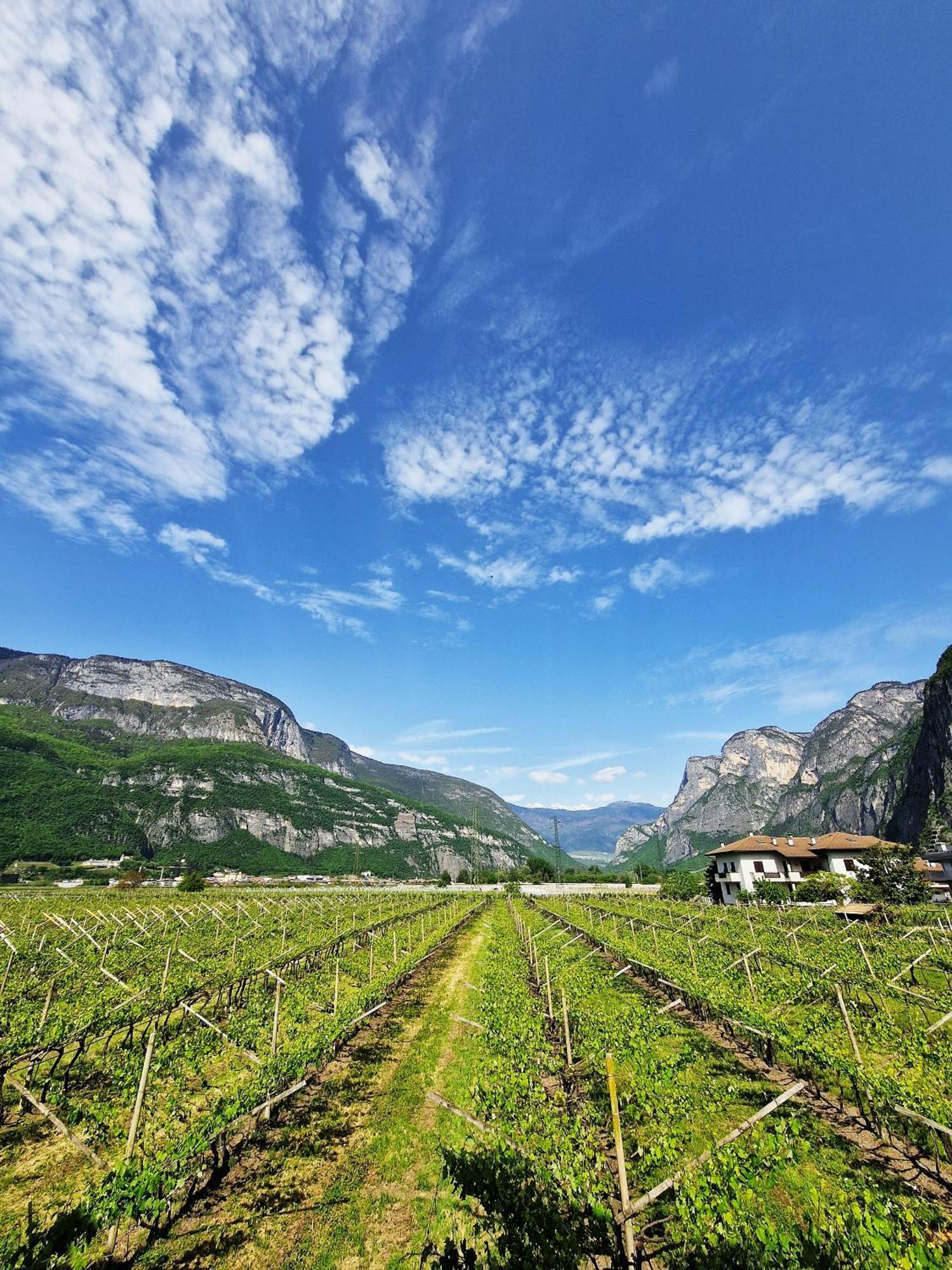 Antico Fienile Agritur Villa เมซโซโคโรนา ภายนอก รูปภาพ