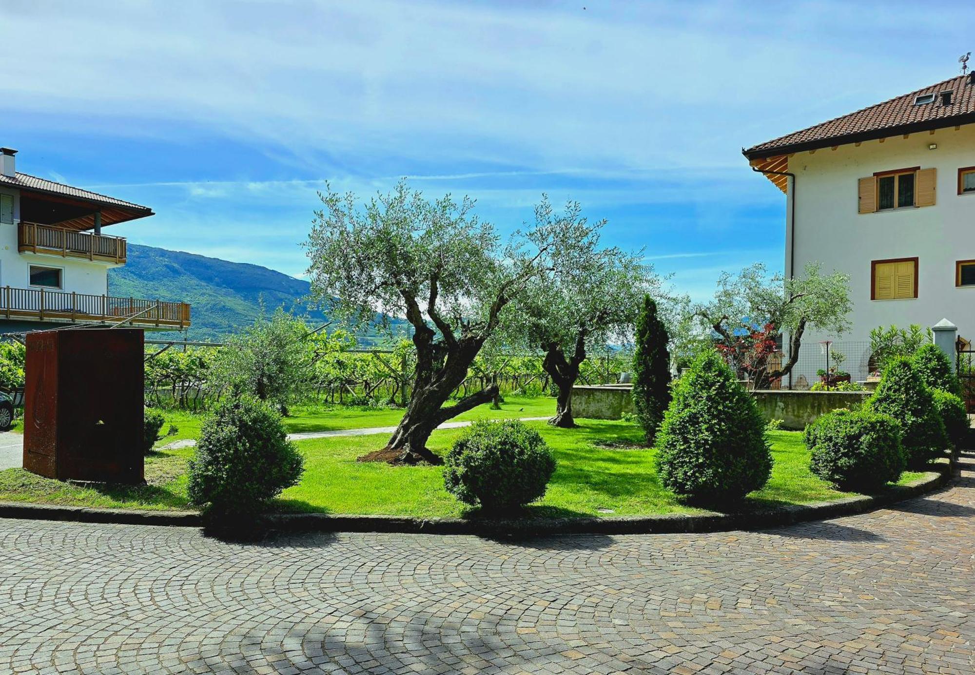 Antico Fienile Agritur Villa เมซโซโคโรนา ภายนอก รูปภาพ