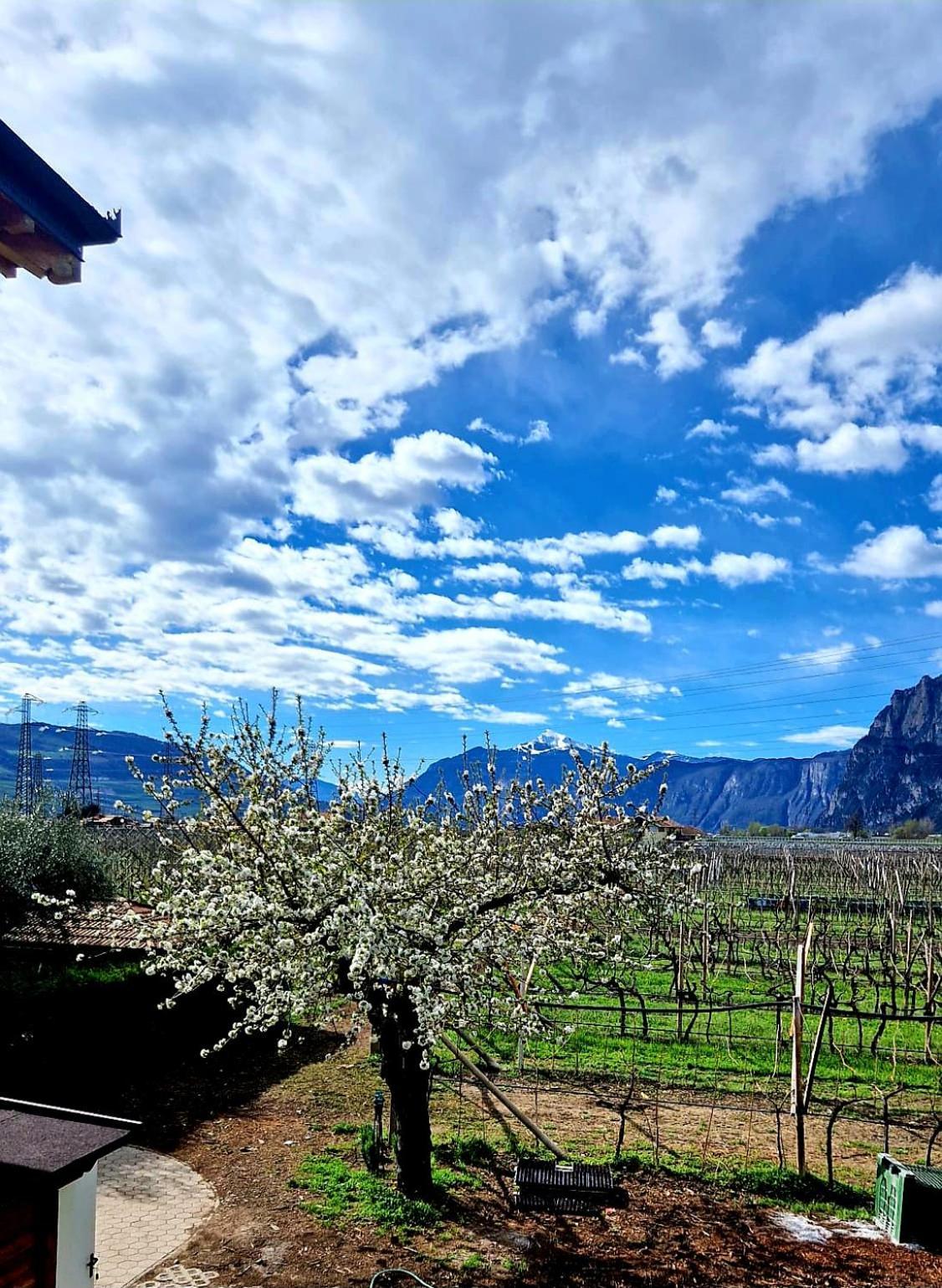 Antico Fienile Agritur Villa เมซโซโคโรนา ภายนอก รูปภาพ